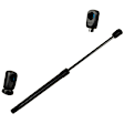 8104224 Driver or Passenger Side Trunk Lid Lift Support, Sold Individually