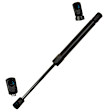 8104234 Driver or Passenger Side Trunk Lid Lift Support, Sold Individually