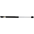 8114204 Driver or Passenger Side Gas Spring Lift Support, Hatchback, Sold Individually