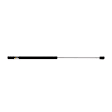 8127560 Driver or Passenger Side Hatch Lift Support, Wagon, Sold Individually