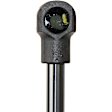 8195072 Driver or Passenger Side Trunk Lid Lift Support, Convertible, Sold Individually