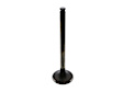 111-050-12-27 Exhaust Valve - Sold Individually