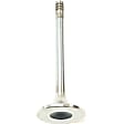 11-34-1-251-063 Exhaust Valve - Sold Individually