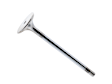 261126 Intake Valve - Sold Individually