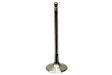 331125 Intake Valve - Replaces OE Number 06D-109-601 M