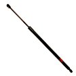 TSG204067 Driver or Passenger Side Liftgate Lift Support, 3.5L, 6Cyl, Sold Individually