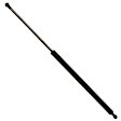 TSG214002 Driver or Passenger Side Liftgate Lift Support, Sold Individually