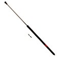 TSG229017 Driver or Passenger Side Trunk Lid Lift Support, 3.0L, 6Cyl, Sold Individually