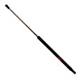 TSG230007 Driver or Passenger Side Trunk Lid Lift Support, Sold Individually