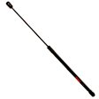 TSG304019 Driver or Passenger Side Trunk Lid Lift Support, Sold Individually
