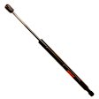 TSG304098 Driver or Passenger Side Hood Lift Support, Sold Individually