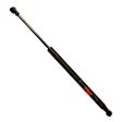 TSG325019 Driver or Passenger Side Hood Lift Support, 3.5L, 6Cyl, Sold Individually