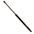 TSG330046 Driver or Passenger Side Liftgate Lift Support, Sold Individually