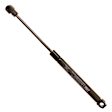 TSG403031 Driver or Passenger Side Trunk Lid