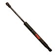 TSG425024 Driver or Passenger Side Trunk Lid