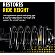 37426 Rear, Driver or Passenger Side Shock, OESpectrum Series