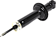 71379 Rear, Driver or Passenger Side Bare Strut, OESpectrum Strut Series