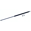 610197 Driver or Passenger Side Trunk Lid Lift Support, Coupe, Sold Individually