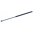 2008 Toyota Camry - Driver or Passenger Side Lift Support Hood, 4-Door; Sedan; For Hood, Sedan