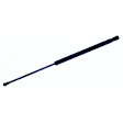 2006 Lexus ES330 - Driver or Passenger Side Lift Support Hood, 4-Door; Sedan; For Hood, Sedan