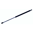 610572 Driver or Passenger Side Hood Lift Support, Sport Utility, Sold Individually
