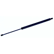 610733 Driver or Passenger Side Liftgate Lift Support, Mini Passenger Van, Sold Individually