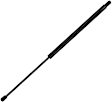 610735 Driver or Passenger Side Liftgate Lift Support, Mini Passenger Van, Sold Individually