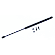 610737 Driver or Passenger Side Liftgate Lift Support, Hatchback, Sold Individually