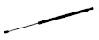 610816 Driver or Passenger Side Hood Lift Support, Sport Utility, Sold Individually
