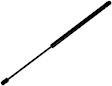 610830 Driver or Passenger Side Liftgate Lift Support, Sport Utility, Sold Individually