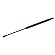 610855 Driver or Passenger Side Liftgate Lift Support, Sport Utility, Sold Individually