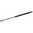 610897 Driver or Passenger Side Liftgate Lift Support, Hatchback, Sold Individually