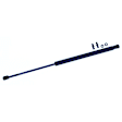 611321 Driver or Passenger Side Liftgate Lift Support, Sport Utility, Sold Individually