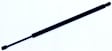 611434 Driver or Passenger Side Liftgate Lift Support, Sport Utility, Sold Individually