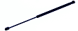 2020 Toyota 4Runner - Driver or Passenger Side Lift Support Liftgate, 4-Door, With Std Speaker, Sport Utility
