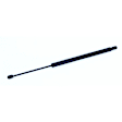 611707 Driver or Passenger Side Liftgate Lift Support, Sport Utility, Sold Individually