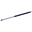 611753 Driver or Passenger Side Liftgate Lift Support, Mini Passenger Van, Sold Individually