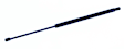 611768 Driver or Passenger Side Side Body Panel Lift Support, Sold Individually