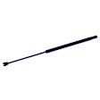 2000 Chrysler Concorde - Lift Support 4-Door; Sedan; For Hood