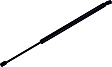 611974 Driver or Passenger Side Liftgate Lift Support, Sport Utility, Sold Individually
