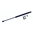 612019 Driver or Passenger Side Hood Lift Support, Base Sedan, Sold Individually