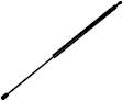 612079 Driver or Passenger Side Hatch Lift Support, Coupe, Sold Individually