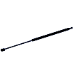 612080 Driver or Passenger Side Trunk Lid Lift Support, Coupe, Sold Individually