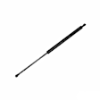 612082 Driver or Passenger Side Liftgate Lift Support, Sport Utility, Sold Individually