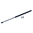 612113 Driver or Passenger Side Trunk Lid Lift Support, Coupe, Sold Individually