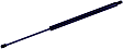 612142 Driver or Passenger Side Liftgate Lift Support, Sport Utility, Sold Individually