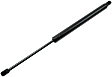 612142 Driver or Passenger Side Liftgate Lift Support, Sport Utility, Sold Individually