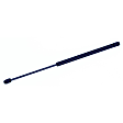 612163 Driver or Passenger Side Liftgate Lift Support, Sport Utility, Sold Individually