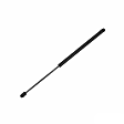 612163 Driver or Passenger Side Liftgate Lift Support, Sport Utility, Sold Individually
