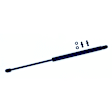 612200 Driver or Passenger Side Hood Lift Support, Base Sedan, Sold Individually